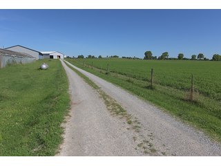 TRACT 2 - ABSOLUTE REAL ESTATE AUCTION - 384.239+/- ACRES OFFERED IN 9 TRACTS IN MERCER COUNTY, KENTUCKY