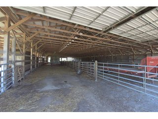 TRACT 3 - ABSOLUTE REAL ESTATE AUCTION - 384.239+/- ACRES OFFERED IN 9 TRACTS IN MERCER COUNTY, KENTUCKY