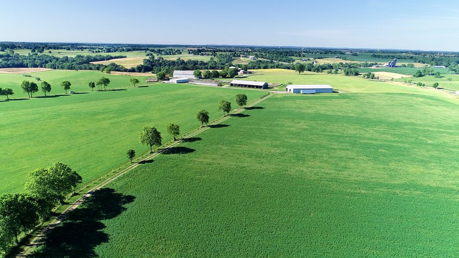 ABSOLUTE REAL ESTATE AUCTION - 384.239+/- ACRES OFFERED IN 9 TRACTS IN MERCER COUNTY, KENTUCKY