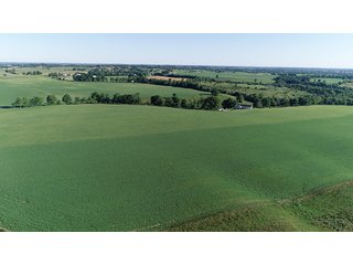 Property photo 13 - ABSOLUTE REAL ESTATE AUCTION - 384.239+/- ACRES OFFERED IN 9 TRACTS IN MERCER COUNTY, KENTUCKY