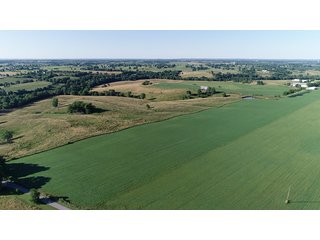 TRACTS 1, 5 6 & 7 - ABSOLUTE REAL ESTATE AUCTION - 384.239+/- ACRES OFFERED IN 9 TRACTS IN MERCER COUNTY, KENTUCKY