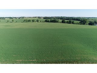 Property photo 21 - ABSOLUTE REAL ESTATE AUCTION - 384.239+/- ACRES OFFERED IN 9 TRACTS IN MERCER COUNTY, KENTUCKY