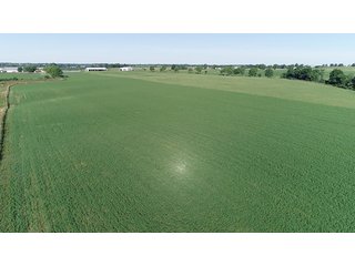 Property photo 22 - ABSOLUTE REAL ESTATE AUCTION - 384.239+/- ACRES OFFERED IN 9 TRACTS IN MERCER COUNTY, KENTUCKY