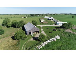 TRACTS 2, 4 & 5 - ABSOLUTE REAL ESTATE AUCTION - 384.239+/- ACRES OFFERED IN 9 TRACTS IN MERCER COUNTY, KENTUCKY