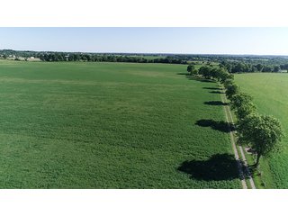 Property photo 39 - ABSOLUTE REAL ESTATE AUCTION - 384.239+/- ACRES OFFERED IN 9 TRACTS IN MERCER COUNTY, KENTUCKY