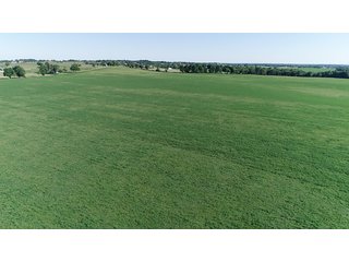 TRACT 1 - ABSOLUTE REAL ESTATE AUCTION - 384.239+/- ACRES OFFERED IN 9 TRACTS IN MERCER COUNTY, KENTUCKY