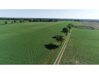 Property photo 41 - ABSOLUTE REAL ESTATE AUCTION - 384.239+/- ACRES OFFERED IN 9 TRACTS IN MERCER COUNTY, KENTUCKY