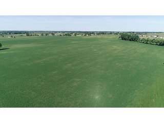 Property photo 43 - ABSOLUTE REAL ESTATE AUCTION - 384.239+/- ACRES OFFERED IN 9 TRACTS IN MERCER COUNTY, KENTUCKY
