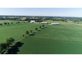 TRACTS 1-4 - ABSOLUTE REAL ESTATE AUCTION - 384.239+/- ACRES OFFERED IN 9 TRACTS IN MERCER COUNTY, KENTUCKY