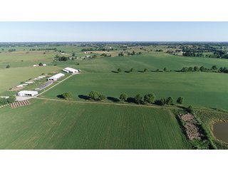 Property photo 9 - ABSOLUTE REAL ESTATE AUCTION - 384.239+/- ACRES OFFERED IN 9 TRACTS IN MERCER COUNTY, KENTUCKY