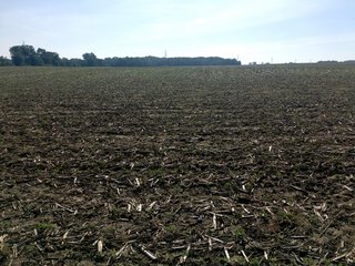 Whitley County, Indiana farmland - LAND AUCTION - 156+/- ACRES OFFERED IN 5 TRACTS IN WHITLEY COUNTY, INDIANA