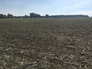 Whitley County, Indiana farmland - LAND AUCTION - 156+/- ACRES OFFERED IN 5 TRACTS IN WHITLEY COUNTY, INDIANA