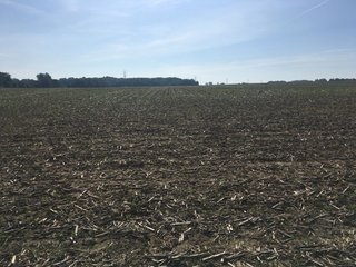 Whitley County, Indiana farmland - LAND AUCTION - 156+/- ACRES OFFERED IN 5 TRACTS IN WHITLEY COUNTY, INDIANA