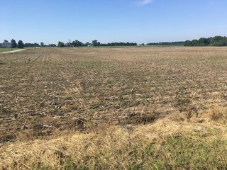 Whitley County, Indiana farmland - LAND AUCTION - 156+/- ACRES OFFERED IN 5 TRACTS IN WHITLEY COUNTY, INDIANA