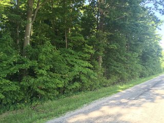 Whitley County, Indiana farmland - LAND AUCTION - 156+/- ACRES OFFERED IN 5 TRACTS IN WHITLEY COUNTY, INDIANA