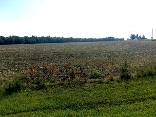 Whitley County, Indiana farmland - LAND AUCTION - 156+/- ACRES OFFERED IN 5 TRACTS IN WHITLEY COUNTY, INDIANA