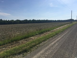 Whitley County, Indiana farmland - LAND AUCTION - 156+/- ACRES OFFERED IN 5 TRACTS IN WHITLEY COUNTY, INDIANA