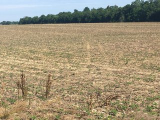 Whitley County, Indiana farmland - LAND AUCTION - 156+/- ACRES OFFERED IN 5 TRACTS IN WHITLEY COUNTY, INDIANA