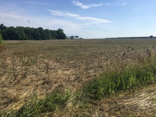 Whitley County, Indiana farmland - LAND AUCTION - 156+/- ACRES OFFERED IN 5 TRACTS IN WHITLEY COUNTY, INDIANA