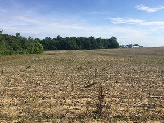 Whitley County, Indiana farmland - LAND AUCTION - 156+/- ACRES OFFERED IN 5 TRACTS IN WHITLEY COUNTY, INDIANA