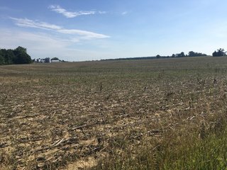 Whitley County, Indiana farmland - LAND AUCTION - 156+/- ACRES OFFERED IN 5 TRACTS IN WHITLEY COUNTY, INDIANA