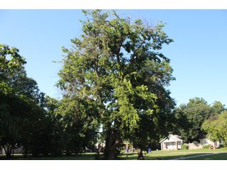 TRACT 3 - COMMERCIAL AND RESIDENTIAL REAL ESTATE AUCTION - 4 TRACTS IN NORMAN, OKLAHOMA