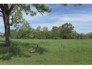 Land Lot in Elkhart County, Indiana - ABSOLUTE 43 RIVER & LAKE LOTS AUCTION - 66+/- ACRES ON 43 LOTS IN ELKHART COUNTY, INDIANA