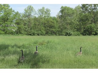 Land Lot in Elkhart County, Indiana - ABSOLUTE 43 RIVER & LAKE LOTS AUCTION - 66+/- ACRES ON 43 LOTS IN ELKHART COUNTY, INDIANA
