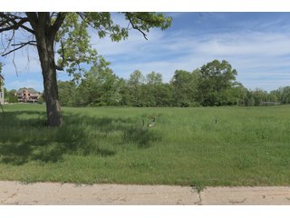 Land Lot in Elkhart County, Indiana - ABSOLUTE 43 RIVER & LAKE LOTS AUCTION - 66+/- ACRES ON 43 LOTS IN ELKHART COUNTY, INDIANA