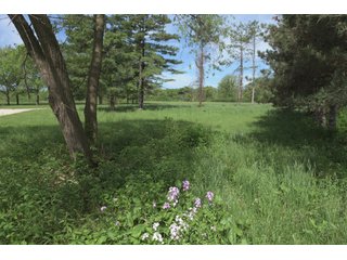 Land Lot in Elkhart County, Indiana - ABSOLUTE 43 RIVER & LAKE LOTS AUCTION - 66+/- ACRES ON 43 LOTS IN ELKHART COUNTY, INDIANA