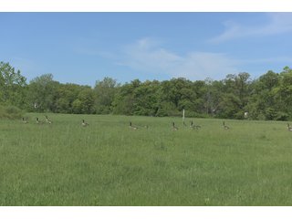 Land Lot in Elkhart County, Indiana - ABSOLUTE 43 RIVER & LAKE LOTS AUCTION - 66+/- ACRES ON 43 LOTS IN ELKHART COUNTY, INDIANA