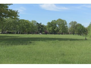Land Lot in Elkhart County, Indiana - ABSOLUTE 43 RIVER & LAKE LOTS AUCTION - 66+/- ACRES ON 43 LOTS IN ELKHART COUNTY, INDIANA