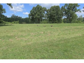 Land Lot in Elkhart County, Indiana - ABSOLUTE 43 RIVER & LAKE LOTS AUCTION - 66+/- ACRES ON 43 LOTS IN ELKHART COUNTY, INDIANA