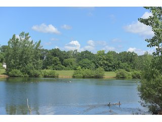 Pond on a lot in Elkhart County, Indiana - ABSOLUTE 43 RIVER & LAKE LOTS AUCTION - 66+/- ACRES ON 43 LOTS IN ELKHART COUNTY, INDIANA