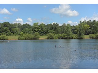 Pond on a lot in Elkhart County, Indiana - ABSOLUTE 43 RIVER & LAKE LOTS AUCTION - 66+/- ACRES ON 43 LOTS IN ELKHART COUNTY, INDIANA