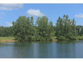 Pond on a lot in Elkhart County, Indiana - ABSOLUTE 43 RIVER & LAKE LOTS AUCTION - 66+/- ACRES ON 43 LOTS IN ELKHART COUNTY, INDIANA