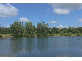 Pond on a lot in Elkhart County, Indiana - ABSOLUTE 43 RIVER & LAKE LOTS AUCTION - 66+/- ACRES ON 43 LOTS IN ELKHART COUNTY, INDIANA