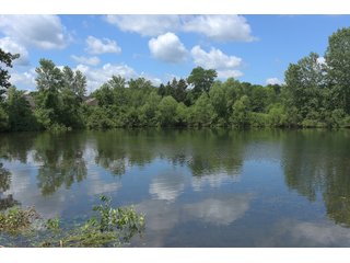 Pond on a lot in Elkhart County, Indiana - ABSOLUTE 43 RIVER & LAKE LOTS AUCTION - 66+/- ACRES ON 43 LOTS IN ELKHART COUNTY, INDIANA