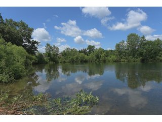 Pond on a lot in Elkhart County, Indiana - ABSOLUTE 43 RIVER & LAKE LOTS AUCTION - 66+/- ACRES ON 43 LOTS IN ELKHART COUNTY, INDIANA