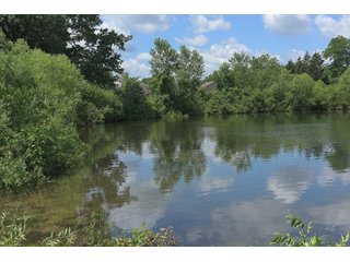 Pond on a lot in Elkhart County, Indiana - ABSOLUTE 43 RIVER & LAKE LOTS AUCTION - 66+/- ACRES ON 43 LOTS IN ELKHART COUNTY, INDIANA