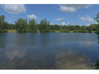 Pond on a lot in Elkhart County, Indiana - ABSOLUTE 43 RIVER & LAKE LOTS AUCTION - 66+/- ACRES ON 43 LOTS IN ELKHART COUNTY, INDIANA