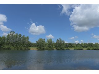 Pond on a lot in Elkhart County, Indiana - ABSOLUTE 43 RIVER & LAKE LOTS AUCTION - 66+/- ACRES ON 43 LOTS IN ELKHART COUNTY, INDIANA