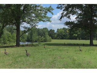 Land Lot in Elkhart County, Indiana - ABSOLUTE 43 RIVER & LAKE LOTS AUCTION - 66+/- ACRES ON 43 LOTS IN ELKHART COUNTY, INDIANA