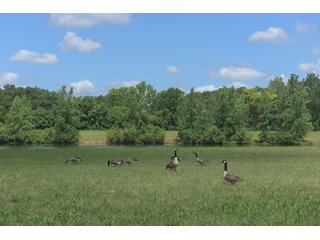 Land Lot in Elkhart County, Indiana - ABSOLUTE 43 RIVER & LAKE LOTS AUCTION - 66+/- ACRES ON 43 LOTS IN ELKHART COUNTY, INDIANA