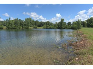 Pond on a lot in Elkhart County, Indiana - ABSOLUTE 43 RIVER & LAKE LOTS AUCTION - 66+/- ACRES ON 43 LOTS IN ELKHART COUNTY, INDIANA