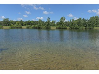 Pond on a lot in Elkhart County, Indiana - ABSOLUTE 43 RIVER & LAKE LOTS AUCTION - 66+/- ACRES ON 43 LOTS IN ELKHART COUNTY, INDIANA