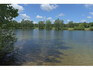 Pond on a lot in Elkhart County, Indiana - ABSOLUTE 43 RIVER & LAKE LOTS AUCTION - 66+/- ACRES ON 43 LOTS IN ELKHART COUNTY, INDIANA