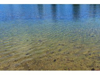 Pond on a lot in Elkhart County, Indiana - ABSOLUTE 43 RIVER & LAKE LOTS AUCTION - 66+/- ACRES ON 43 LOTS IN ELKHART COUNTY, INDIANA