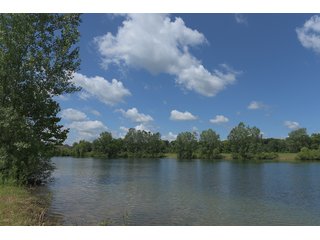 Pond on a lot in Elkhart County, Indiana - ABSOLUTE 43 RIVER & LAKE LOTS AUCTION - 66+/- ACRES ON 43 LOTS IN ELKHART COUNTY, INDIANA