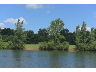 Pond on a lot in Elkhart County, Indiana - ABSOLUTE 43 RIVER & LAKE LOTS AUCTION - 66+/- ACRES ON 43 LOTS IN ELKHART COUNTY, INDIANA